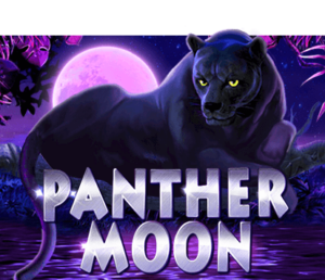 Panther Moon PLAY8 1UFABE